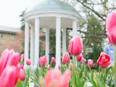 Chapel Hill