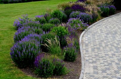 how to improve curb appeal when selling a house
